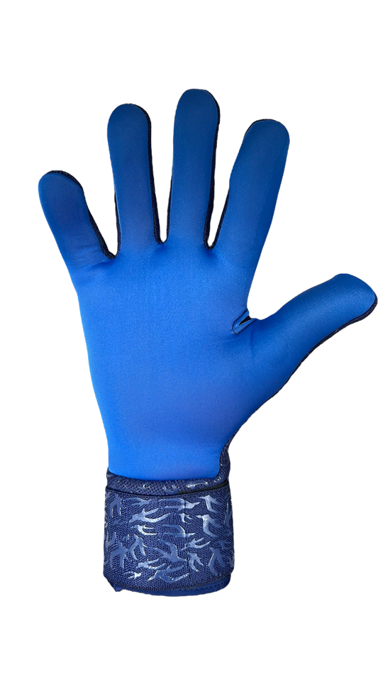 VOS Train 2.0 - Focus Blue